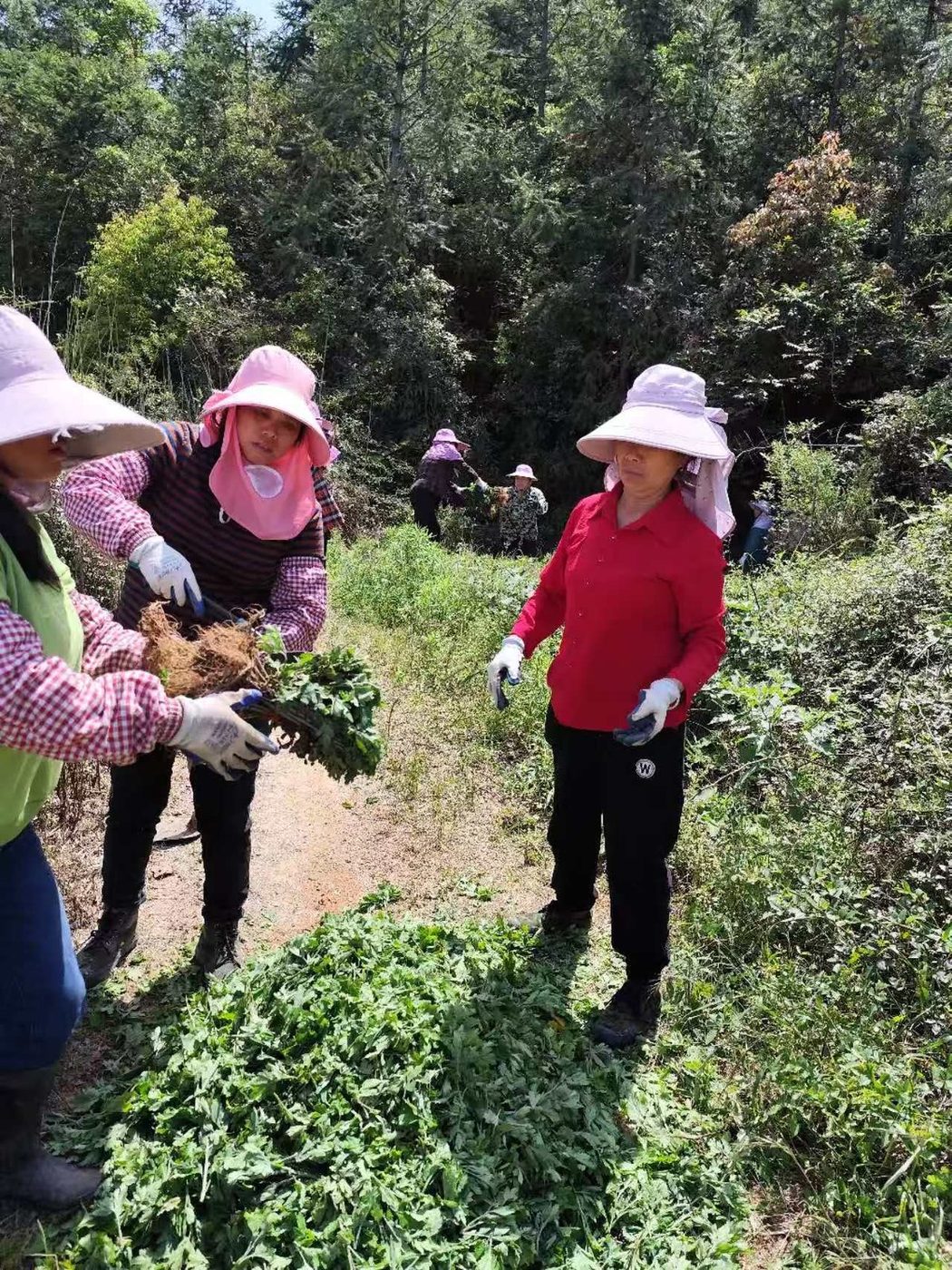 现场照片